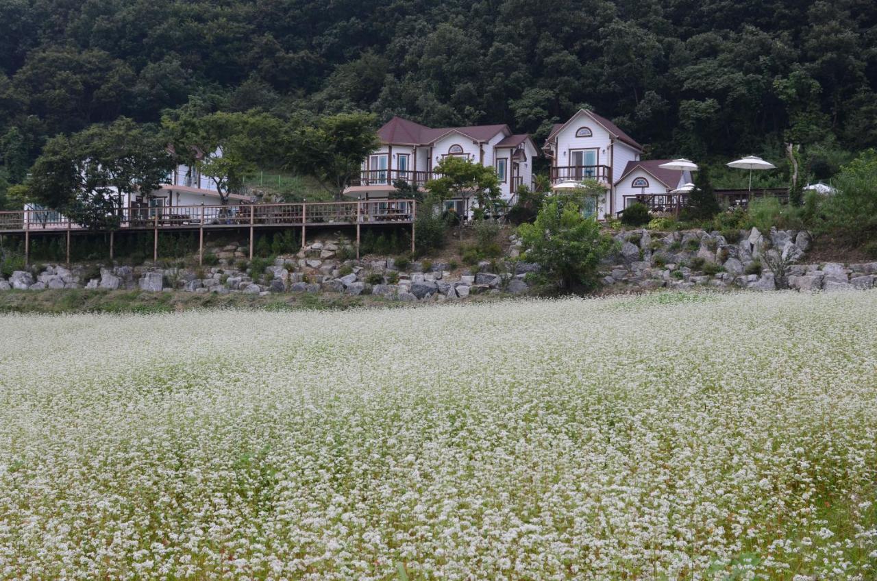 Forest Of Color Pension Hongcheon Ngoại thất bức ảnh