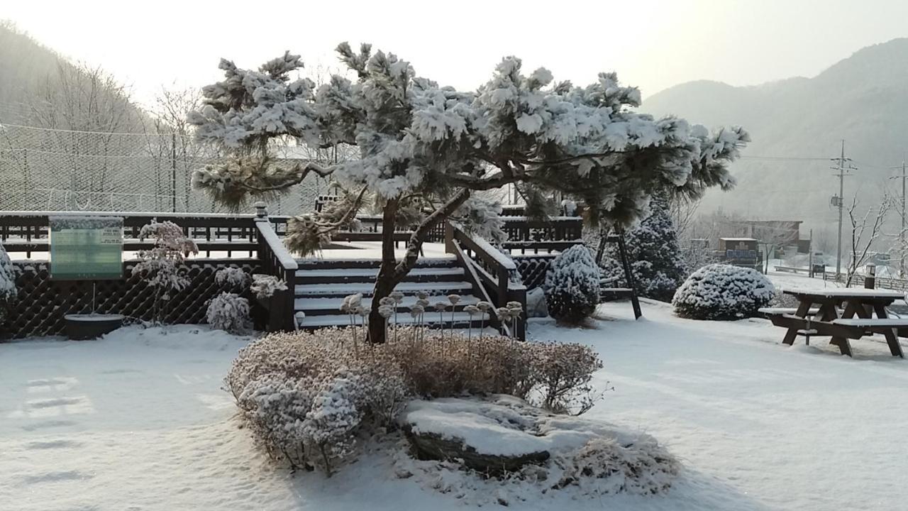 Forest Of Color Pension Hongcheon Ngoại thất bức ảnh