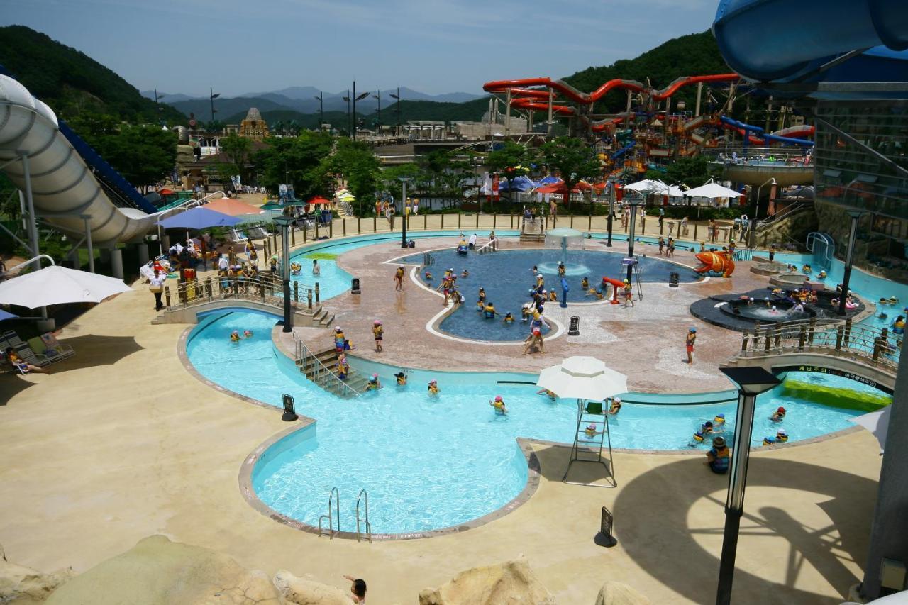 Forest Of Color Pension Hongcheon Ngoại thất bức ảnh
