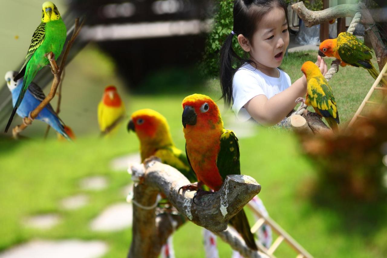 Forest Of Color Pension Hongcheon Ngoại thất bức ảnh